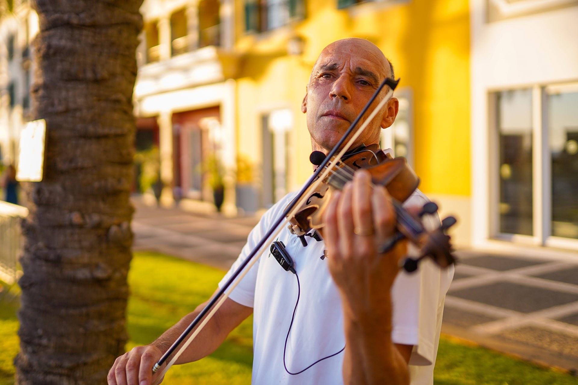 Artur Fernandes